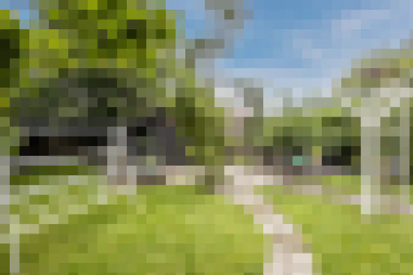 Burg.Backxlaan 323 Nieuwleusen thumbnail 68
