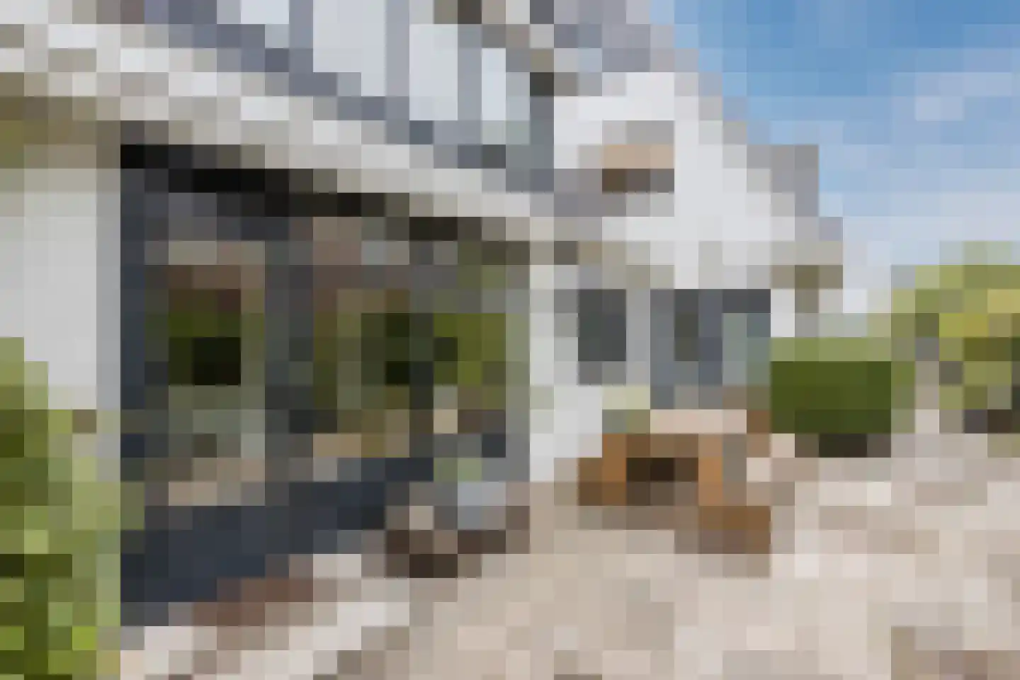 Burg.Backxlaan 323 Nieuwleusen thumbnail 69