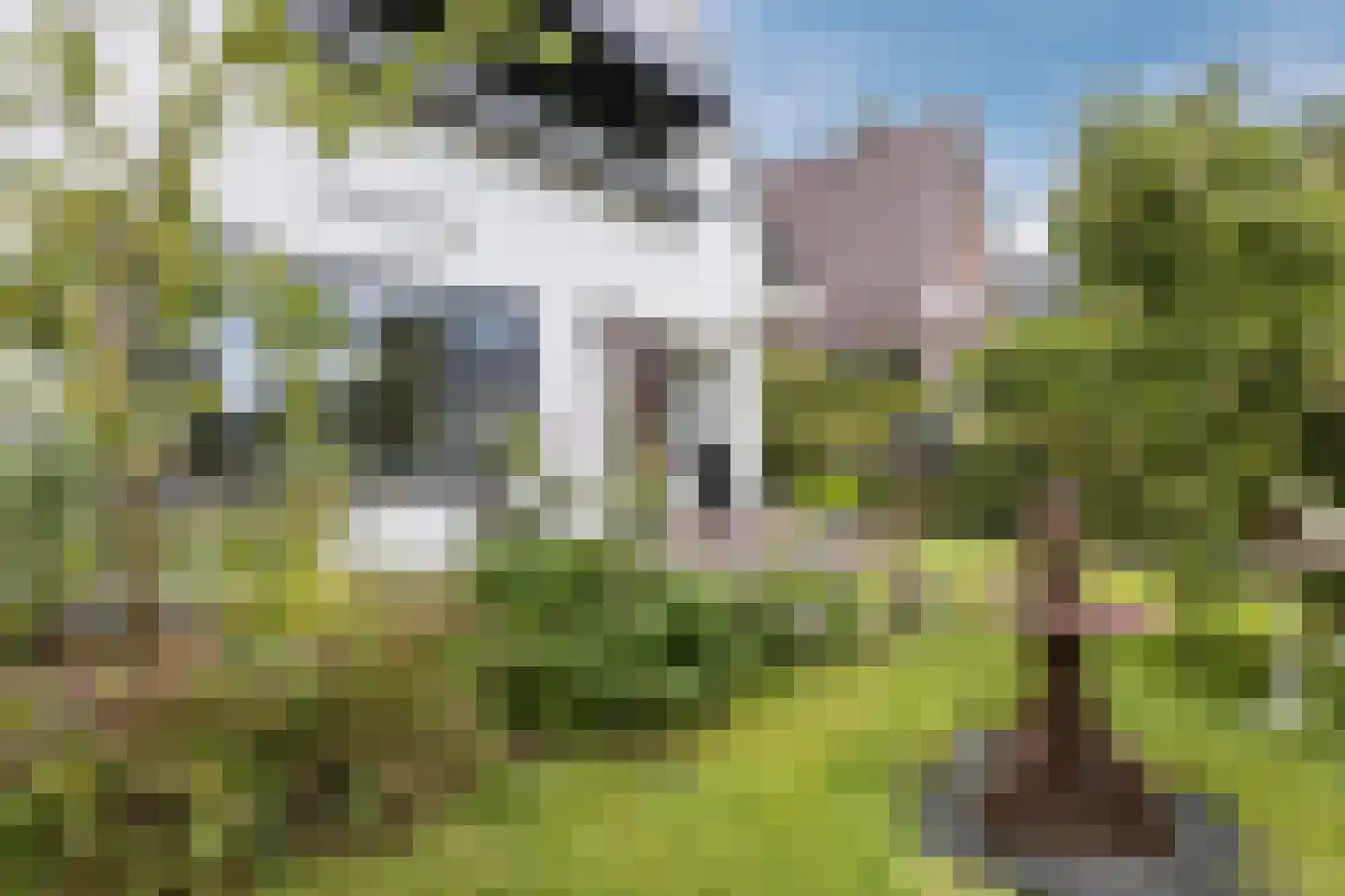 Burg.Backxlaan 323 Nieuwleusen thumbnail 7