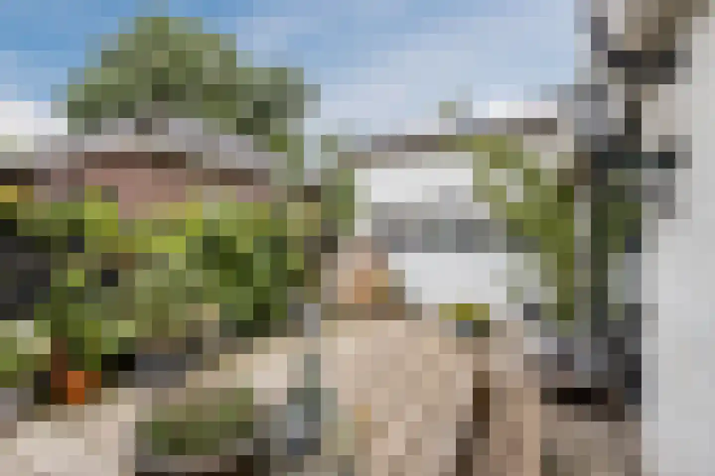 Burg.Backxlaan 323 Nieuwleusen thumbnail 71