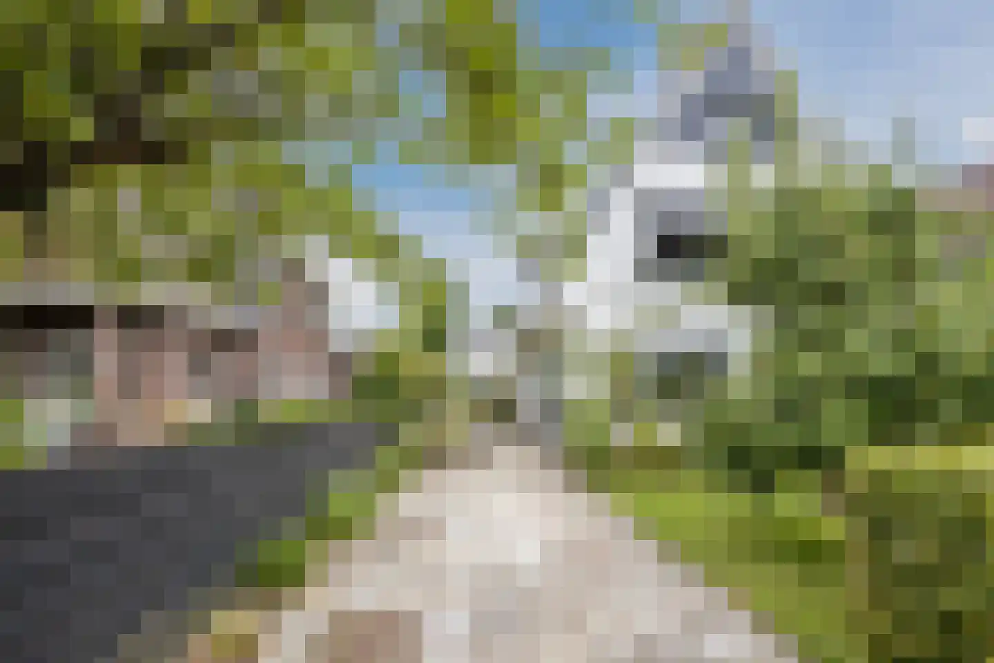 Burg.Backxlaan 323 Nieuwleusen thumbnail 73