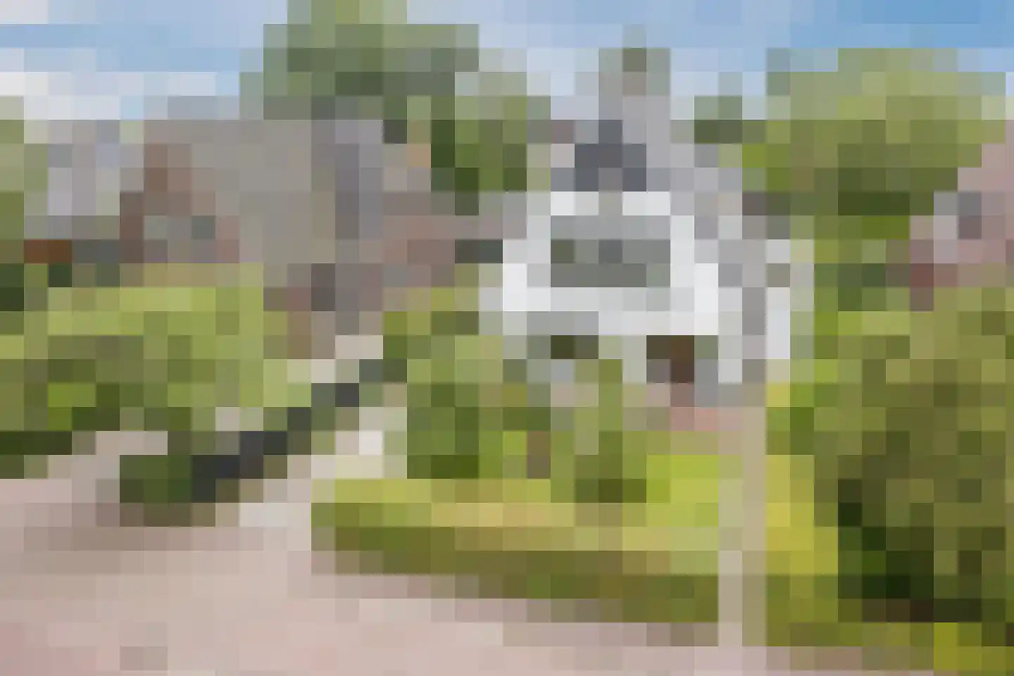 Burg.Backxlaan 323 Nieuwleusen thumbnail 74