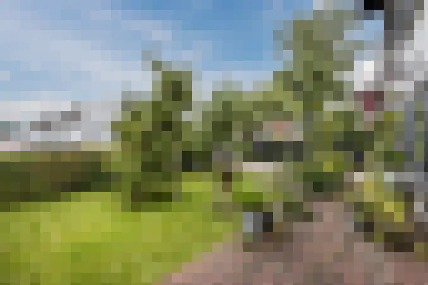 Burg.Backxlaan 323 Nieuwleusen thumbnail 8