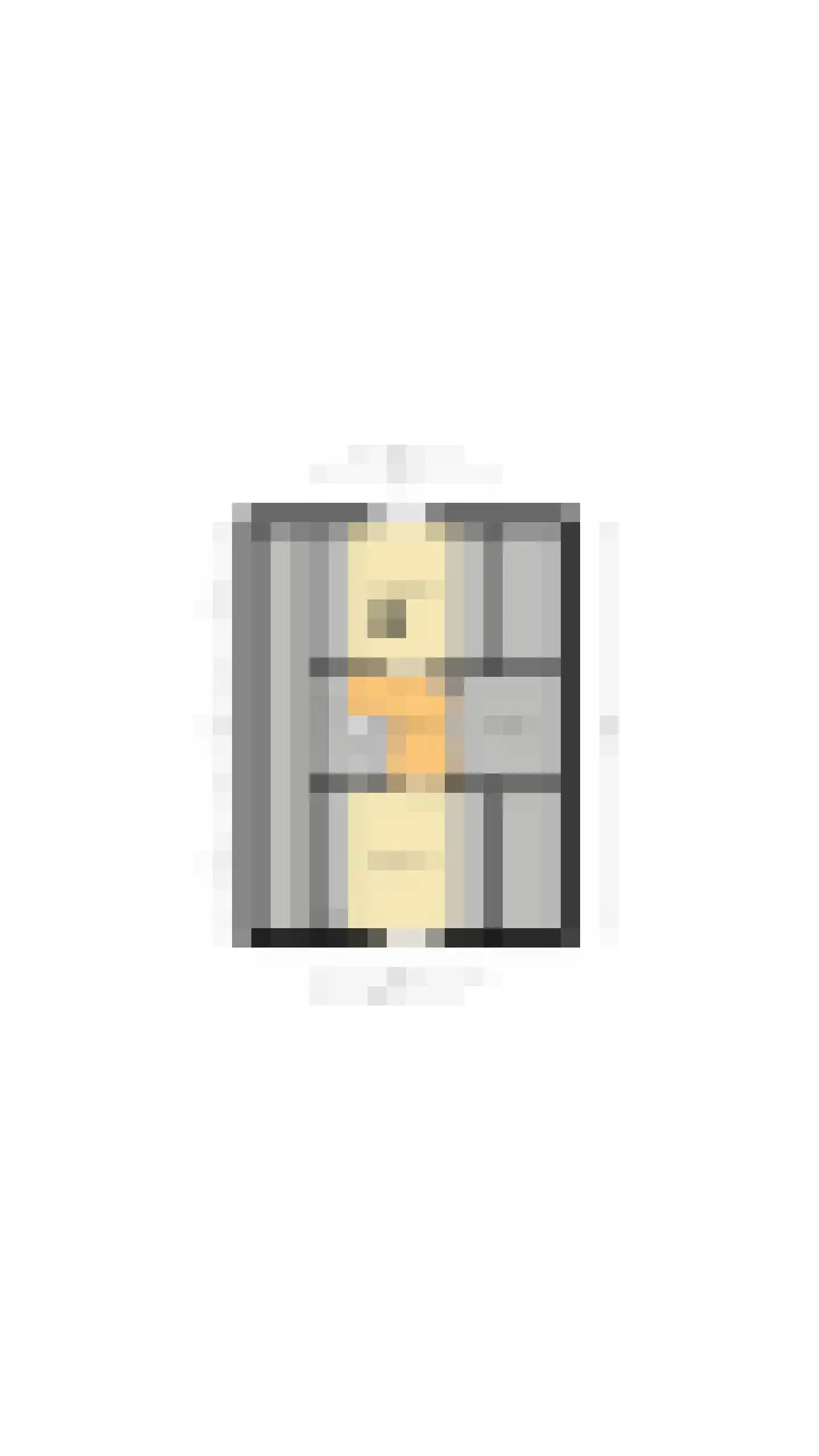 Burg.Backxlaan 323 Nieuwleusen thumbnail 83