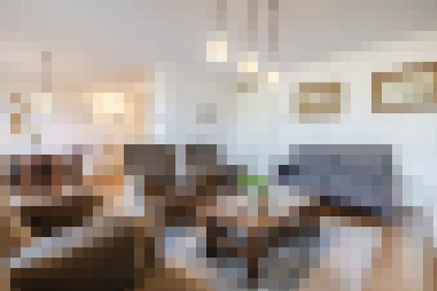 Burg.Backxlaan 36 D Nieuwleusen thumbnail 10