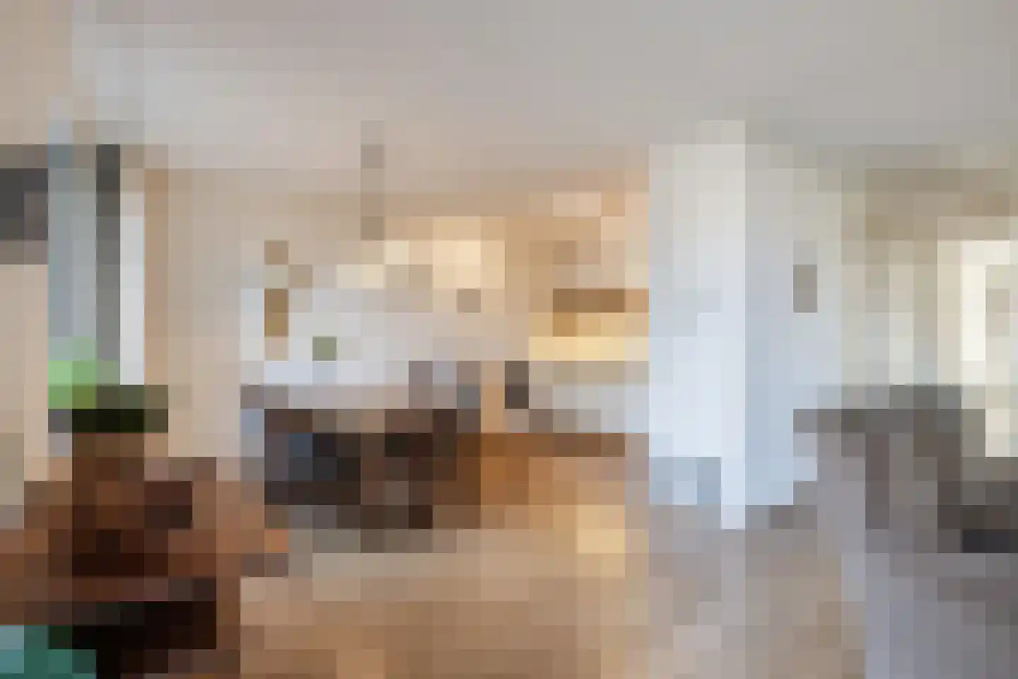 Burg.Backxlaan 36 D Nieuwleusen thumbnail 12