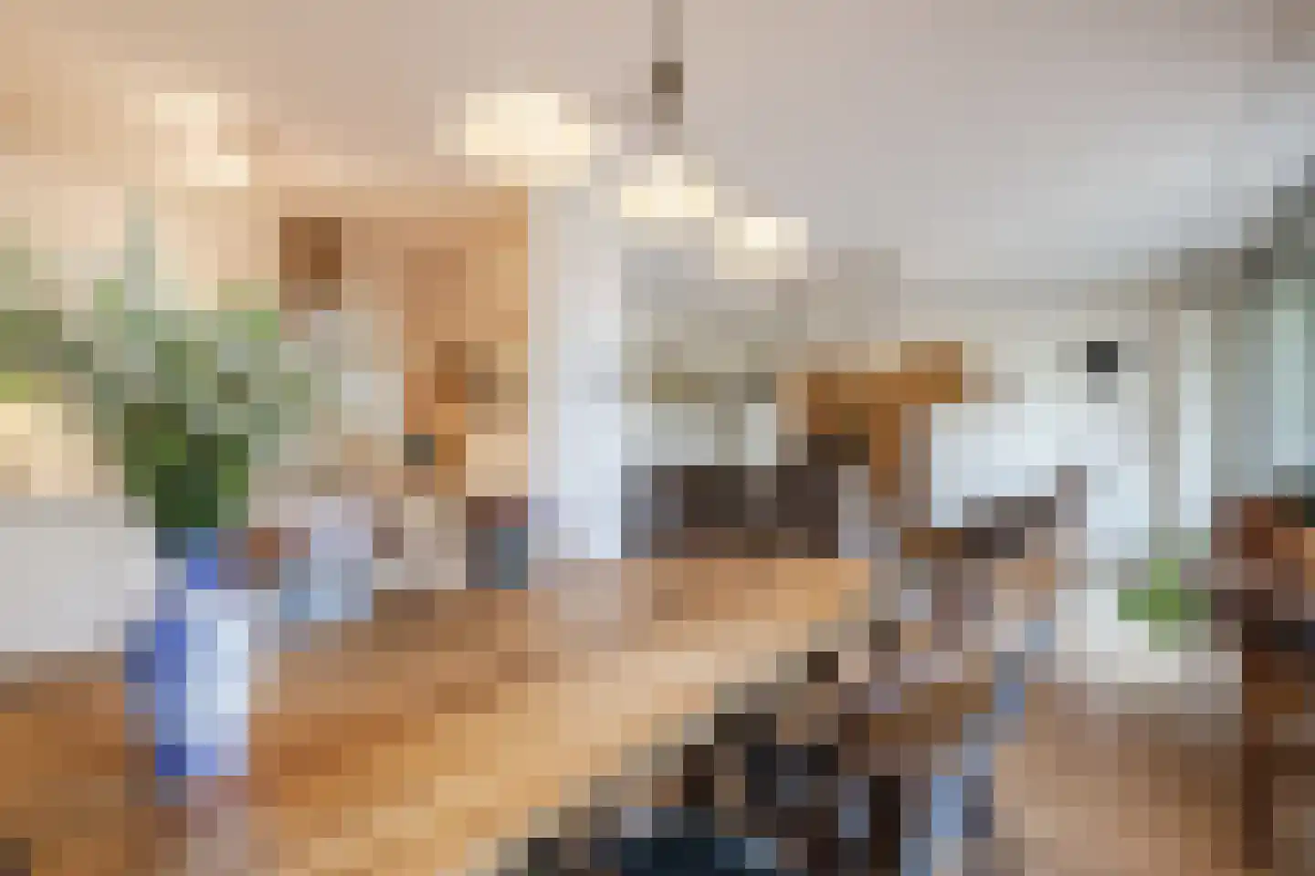 Burg.Backxlaan 36 D Nieuwleusen thumbnail 13
