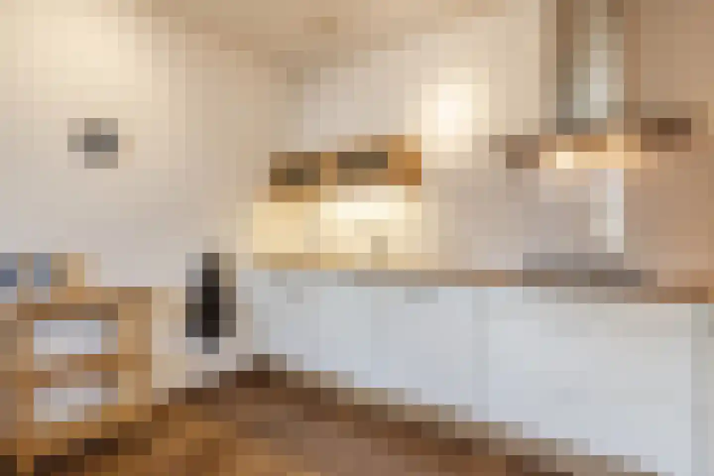 Burg.Backxlaan 36 D Nieuwleusen thumbnail 14