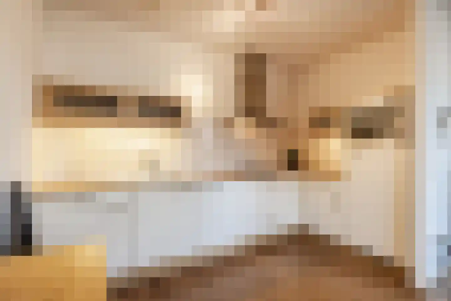 Burg.Backxlaan 36 D Nieuwleusen thumbnail 15