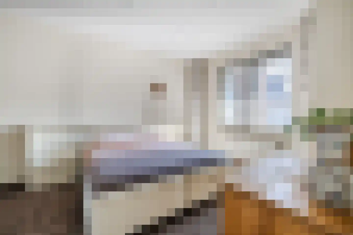 Burg.Backxlaan 36 D Nieuwleusen thumbnail 17