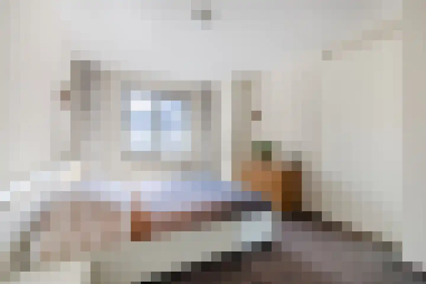 Burg.Backxlaan 36 D Nieuwleusen thumbnail 18