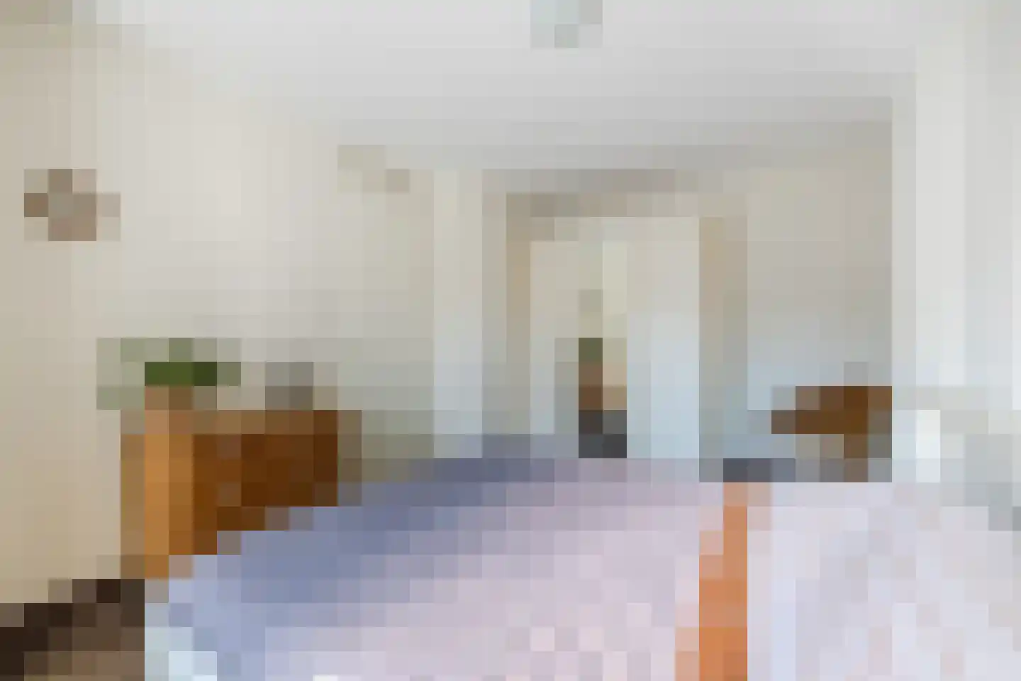Burg.Backxlaan 36 D Nieuwleusen thumbnail 19