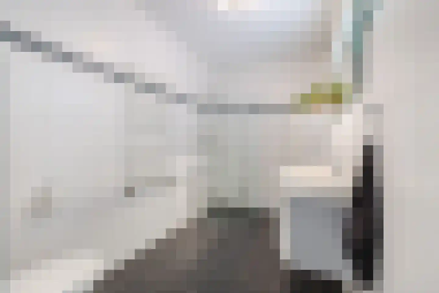 Burg.Backxlaan 36 D Nieuwleusen thumbnail 20