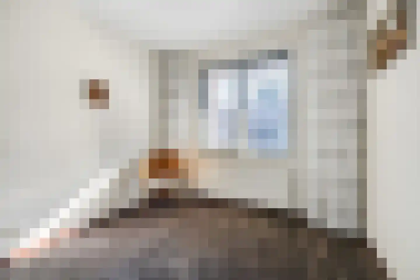 Burg.Backxlaan 36 D Nieuwleusen thumbnail 22