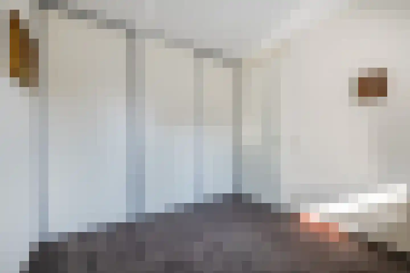 Burg.Backxlaan 36 D Nieuwleusen thumbnail 23