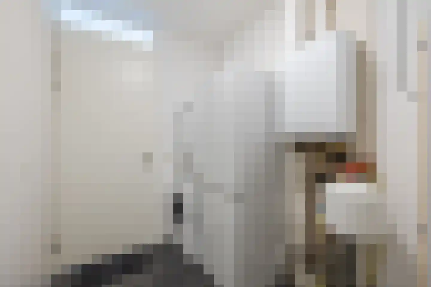Burg.Backxlaan 36 D Nieuwleusen thumbnail 25