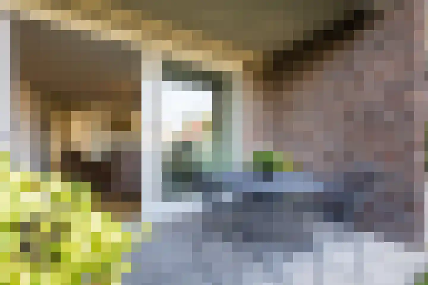Burg.Backxlaan 36 D Nieuwleusen thumbnail 27