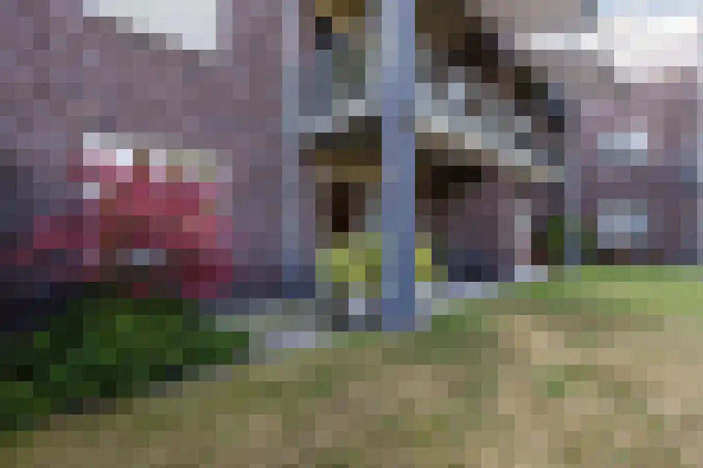 Burg.Backxlaan 36 D Nieuwleusen thumbnail 28