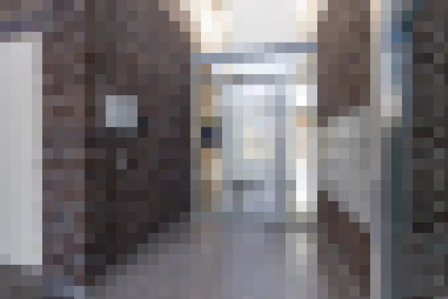 Burg.Backxlaan 36 D Nieuwleusen thumbnail 36