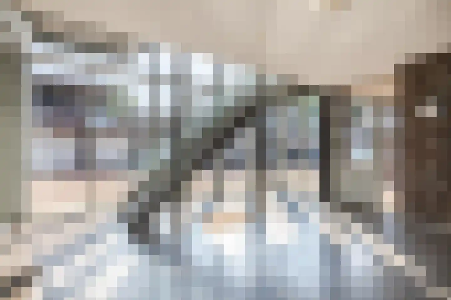 Burg.Backxlaan 36 D Nieuwleusen thumbnail 37