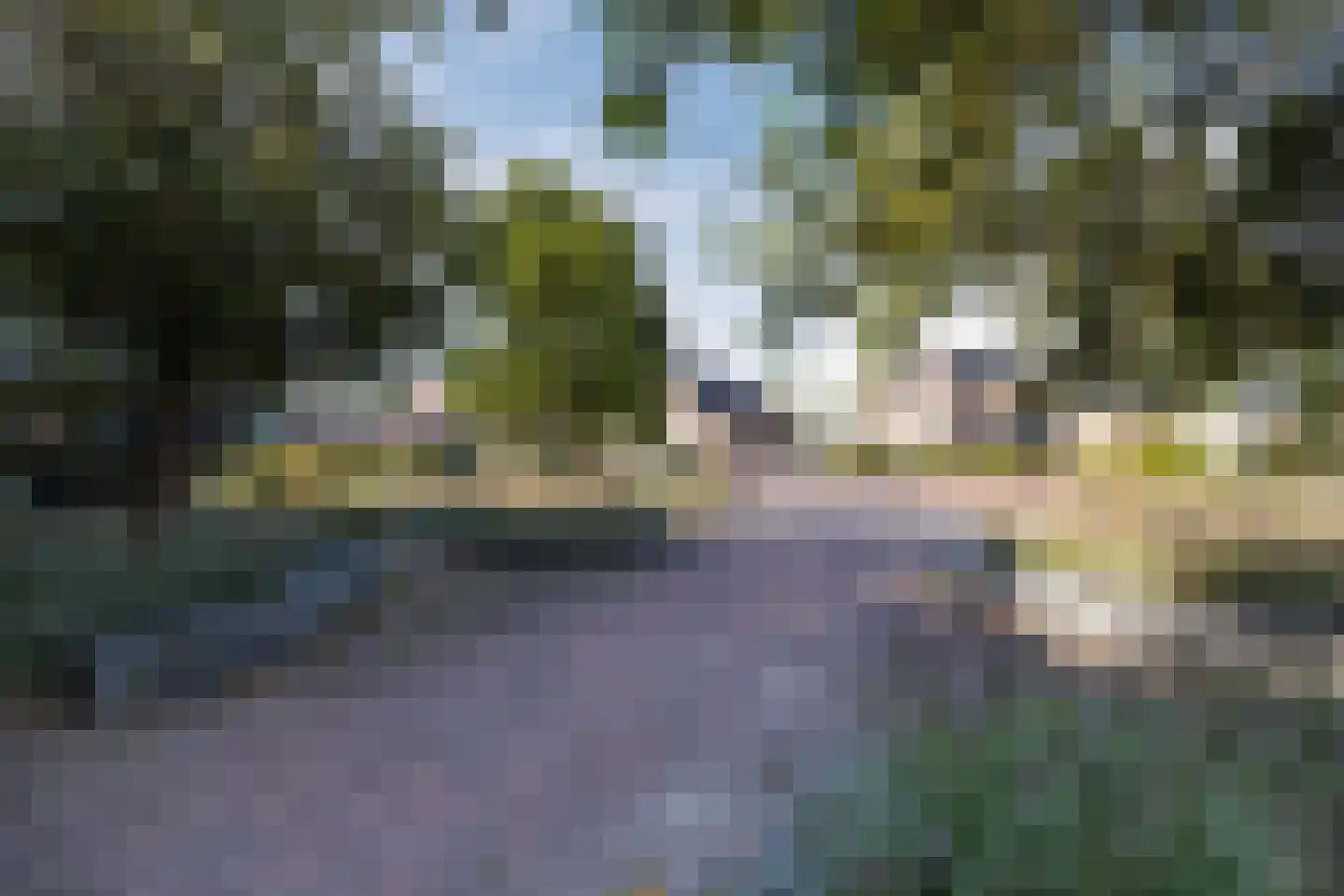 Burg.Backxlaan 36 D Nieuwleusen thumbnail 5