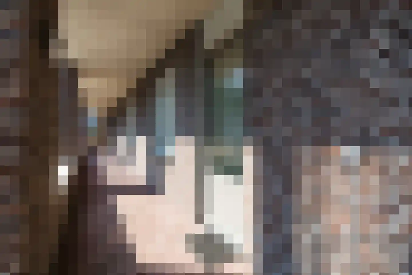 Burg.Backxlaan 36 D Nieuwleusen thumbnail 6