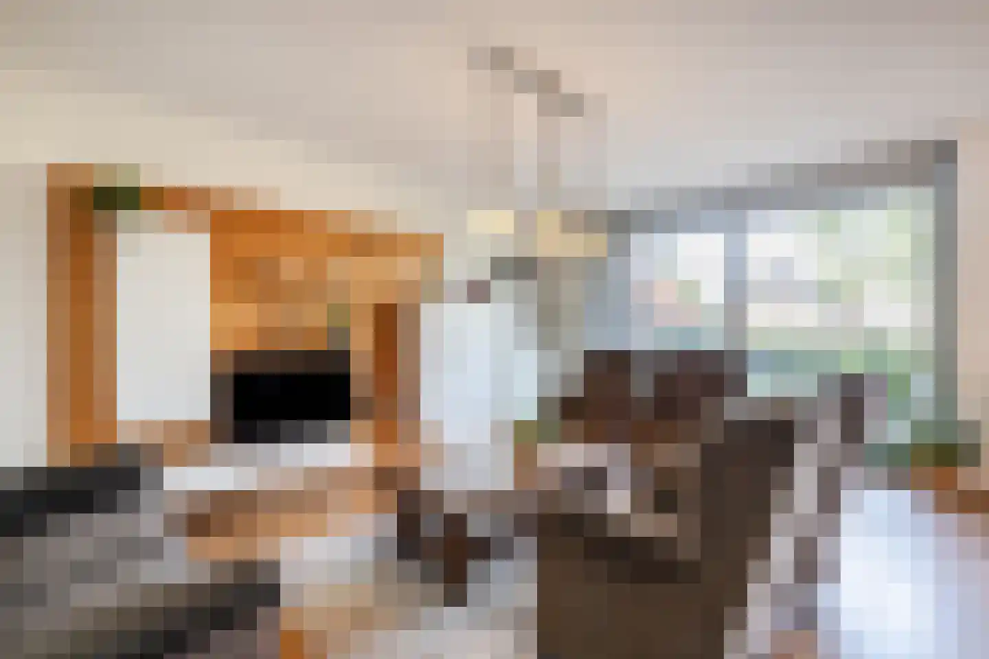 Burg.Backxlaan 36 D Nieuwleusen thumbnail 8