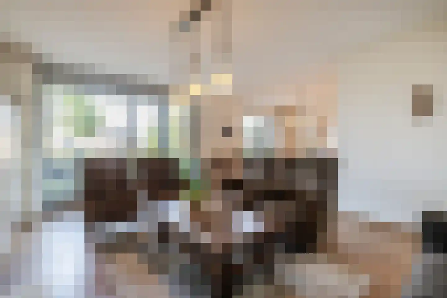 Burg.Backxlaan 36 D Nieuwleusen thumbnail 9