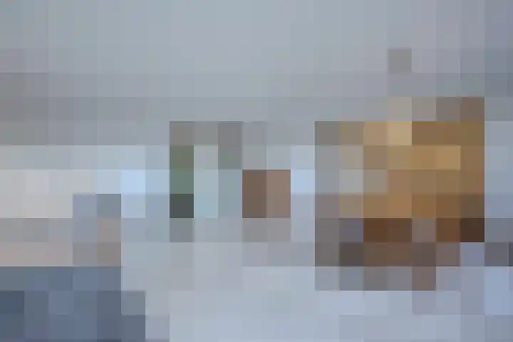 Burg.Backxlaan 36 S Nieuwleusen thumbnail 12