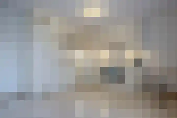 Burg.Backxlaan 36 S Nieuwleusen thumbnail 20