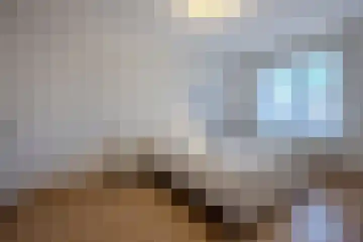 Burg.Backxlaan 36 S Nieuwleusen thumbnail 27