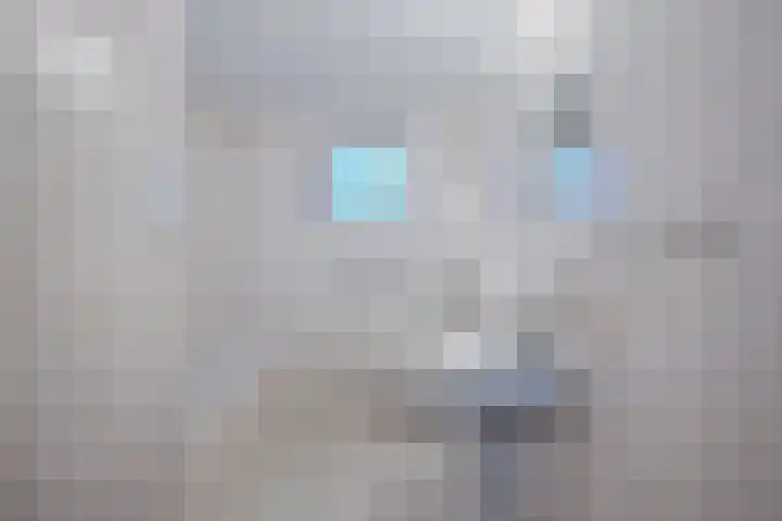 Burg.Backxlaan 36 S Nieuwleusen thumbnail 32