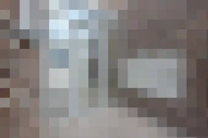 Burg.Backxlaan 36 S Nieuwleusen thumbnail 35