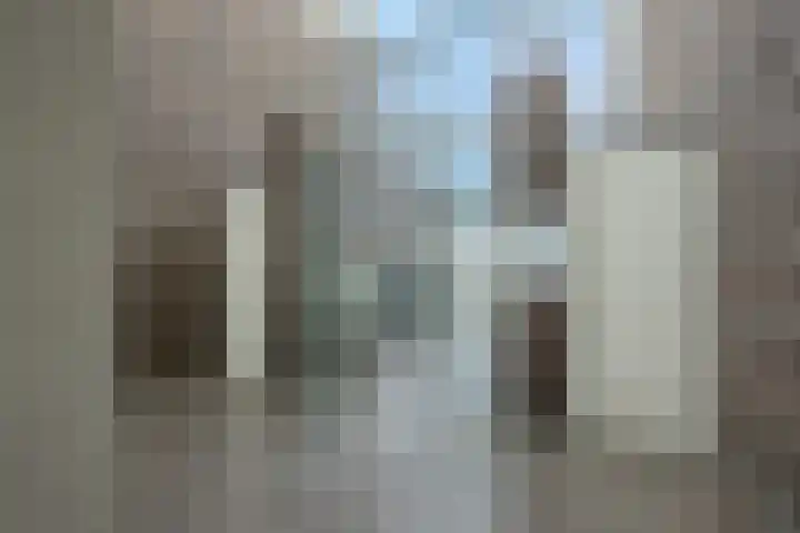 Burg.Backxlaan 36 S Nieuwleusen thumbnail 38