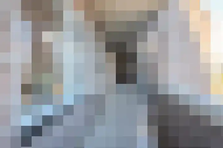 Burg.Backxlaan 36 S Nieuwleusen thumbnail 4