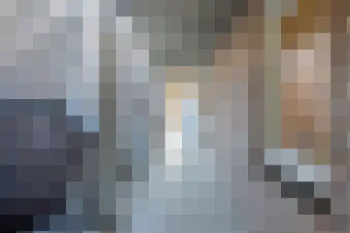 Burg.Backxlaan 36 S Nieuwleusen thumbnail 40