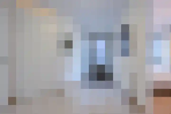 Burg.Backxlaan 36 S Nieuwleusen thumbnail 5