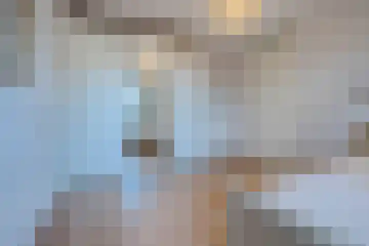 Burg.Backxlaan 36 S Nieuwleusen thumbnail 8