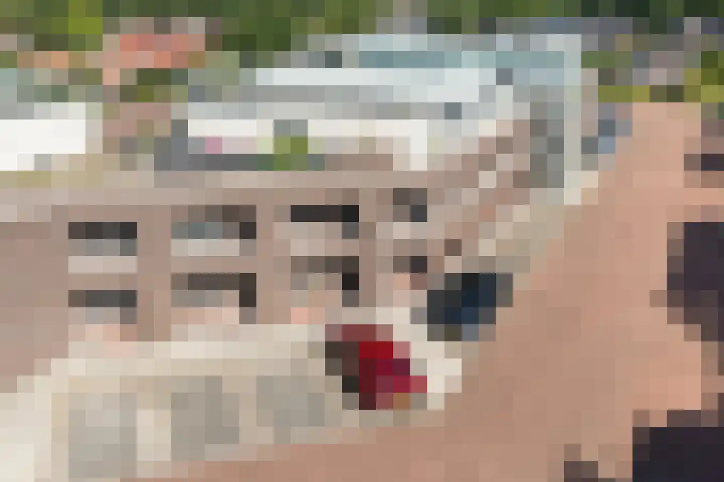 Burg.Backxlaan 36 V Nieuwleusen thumbnail 10