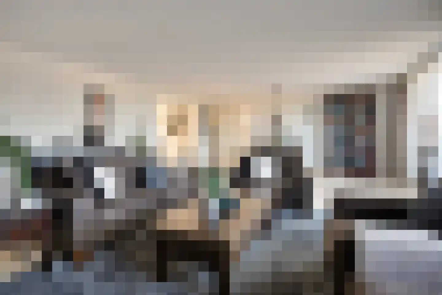 Burg.Backxlaan 36 V Nieuwleusen thumbnail 24
