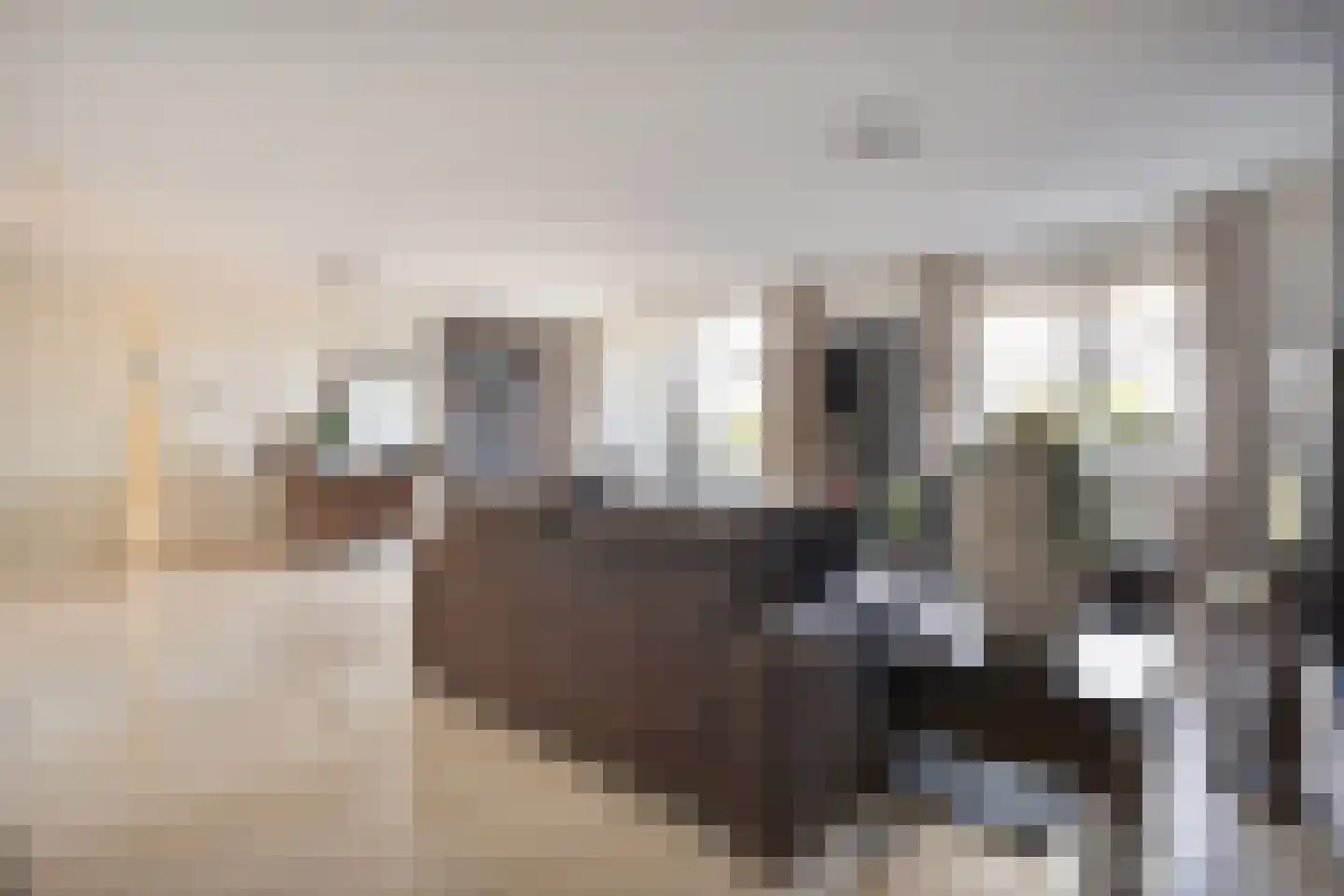 Burg.Backxlaan 36 V Nieuwleusen thumbnail 25