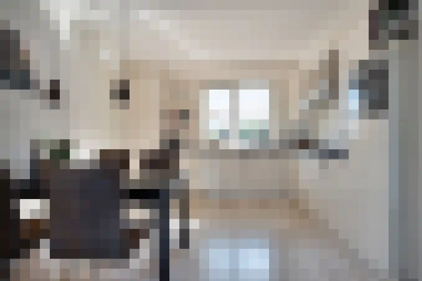 Burg.Backxlaan 36 V Nieuwleusen thumbnail 26