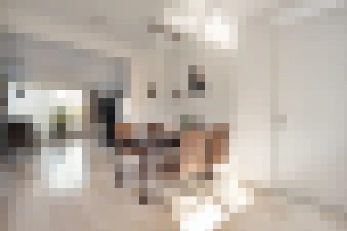 Burg.Backxlaan 36 V Nieuwleusen thumbnail 27