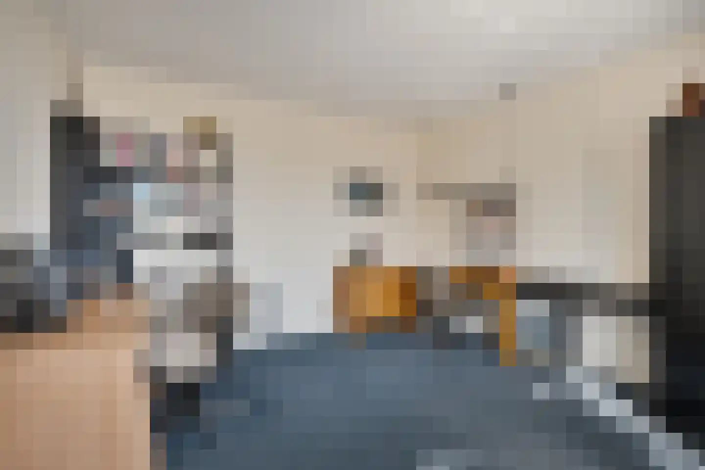Burg.Backxlaan 36 V Nieuwleusen thumbnail 30