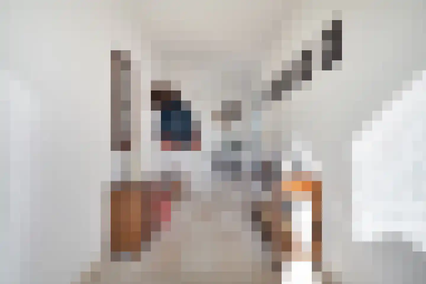 Burg.Backxlaan 36 V Nieuwleusen thumbnail 33
