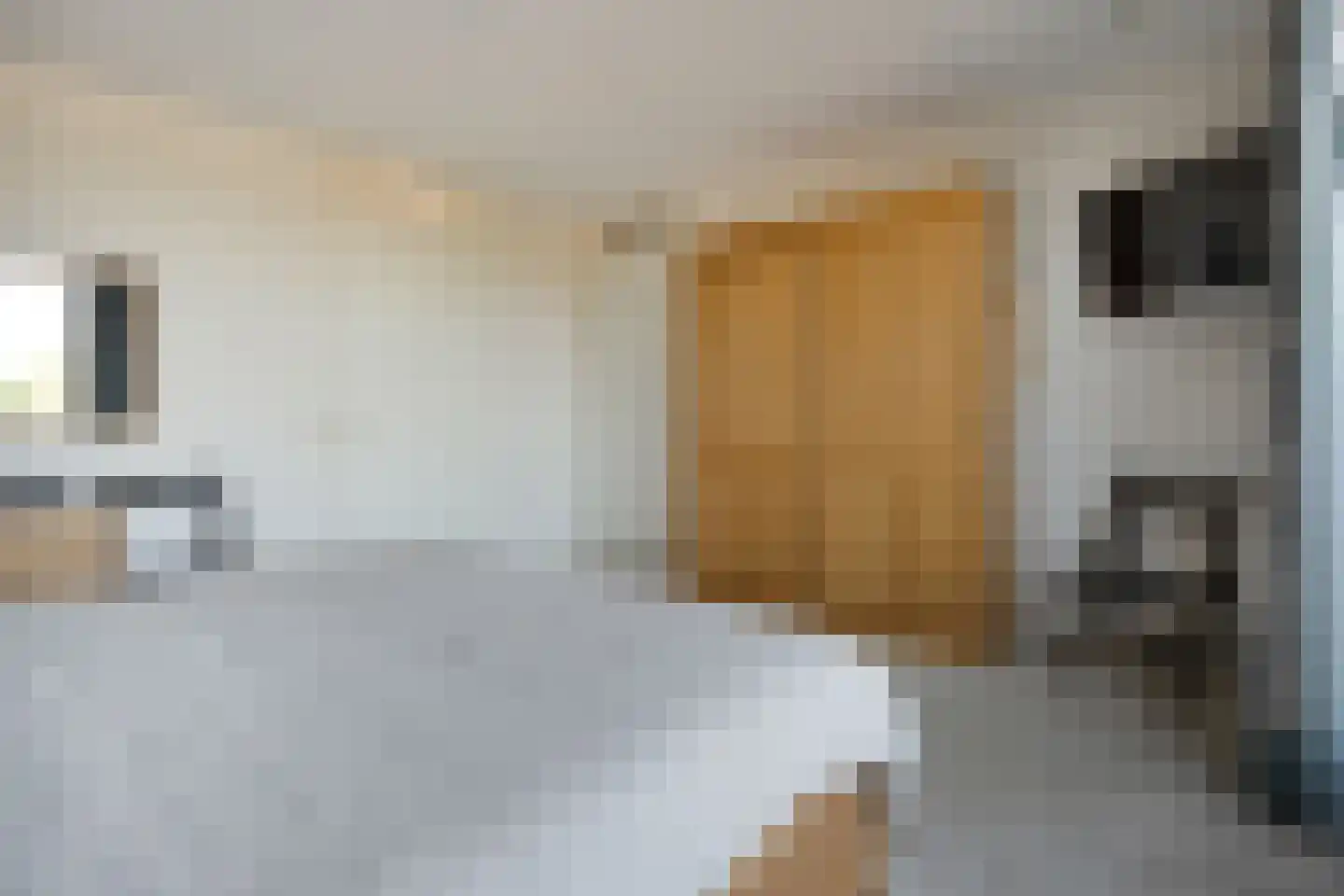 Burg.Backxlaan 36 V Nieuwleusen thumbnail 39