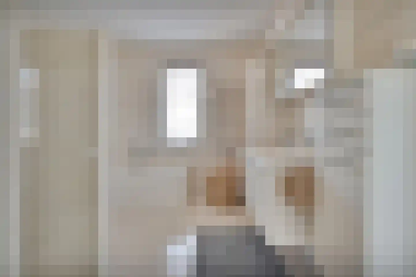 Burg.Backxlaan 36 V Nieuwleusen thumbnail 40
