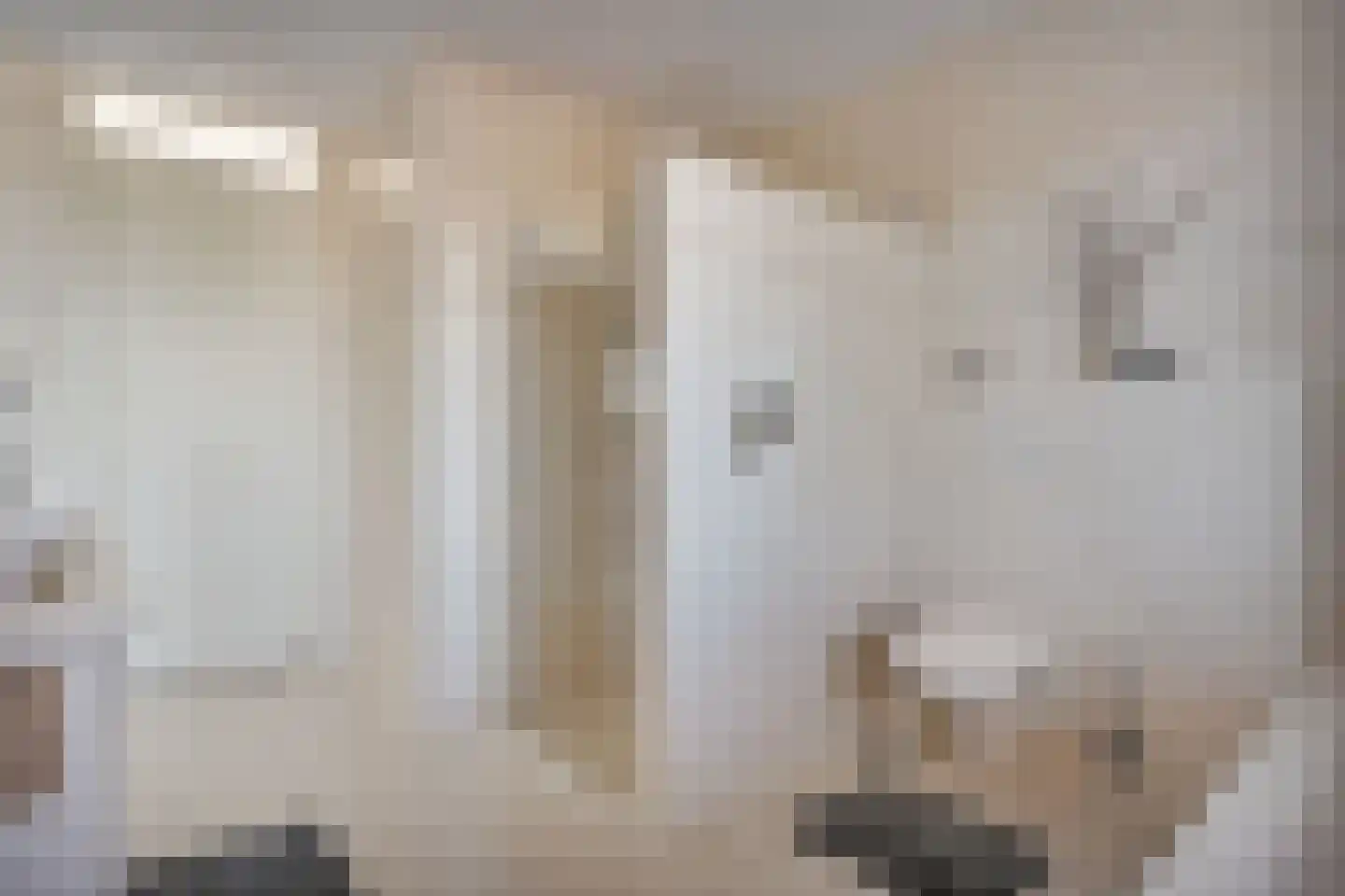 Burg.Backxlaan 36 V Nieuwleusen thumbnail 42