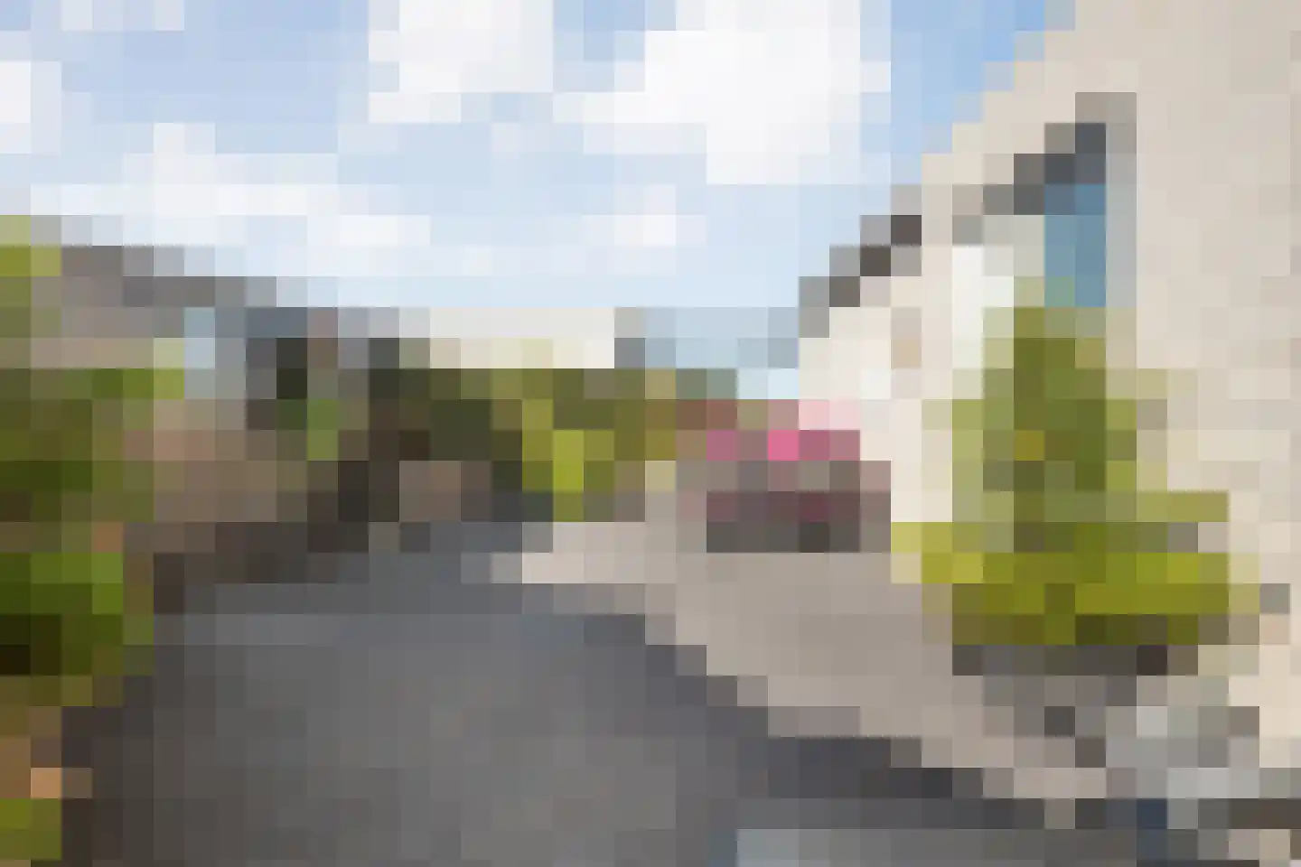 Burg.Backxlaan 36 V Nieuwleusen thumbnail 43