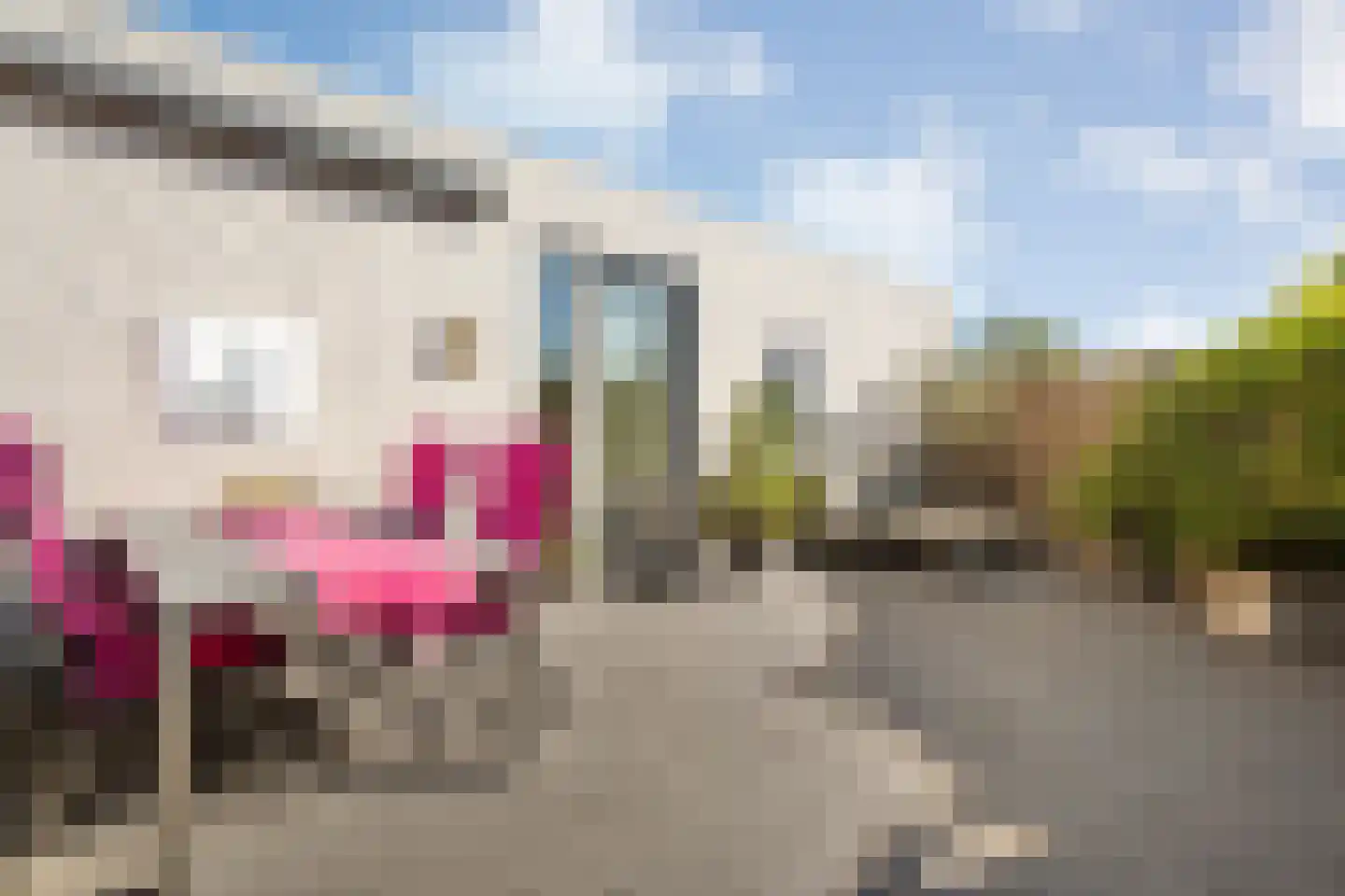Burg.Backxlaan 36 V Nieuwleusen thumbnail 44